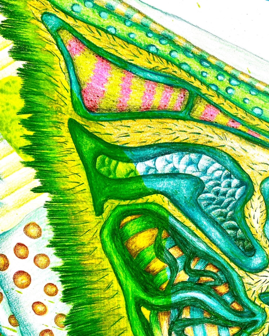 The Emerald Moth giclèe print