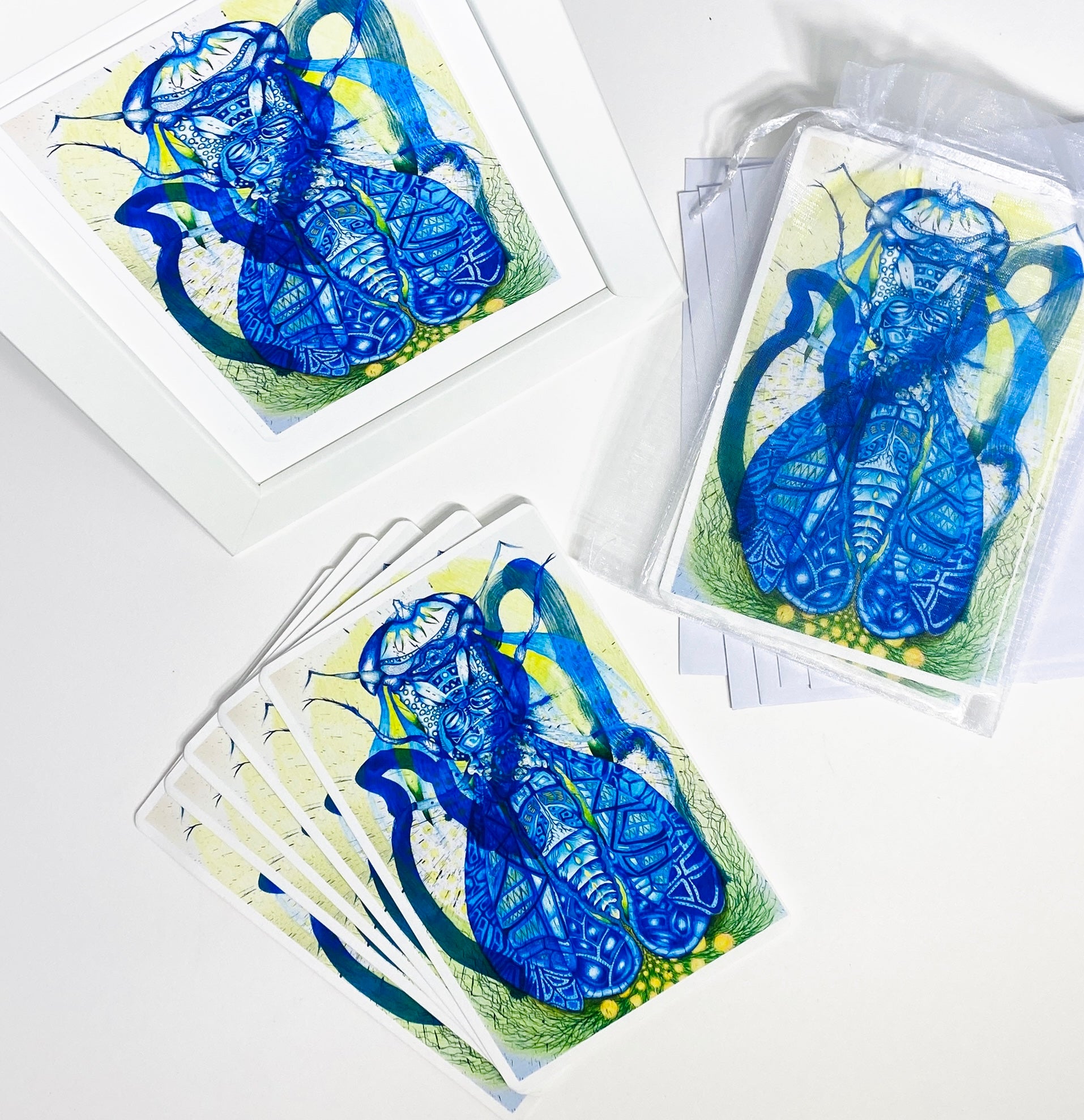 Azure Cicada,  Gift Card Set of five,  6 × 4 inch